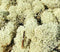 H0-N-Z Heki 3212 - Grey moss (30 g)