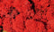 H0-N-Z Heki 3213 - Muschio rosso (30 g)