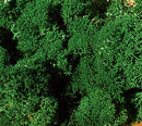H0-N-Z Heki 3220 - Muschio verde scuro (75 g)