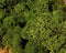 H0-N-Z Heki 3222 - Medium green moss (75 g)