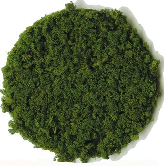 H0-N-Z Heki 3389 - Fiocchi verde scuro - grosso (200 ml)