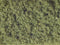 G-1-H0-N-Z Noch 07314 - Classic Flock Foliage, medium green, 24x15 cm.